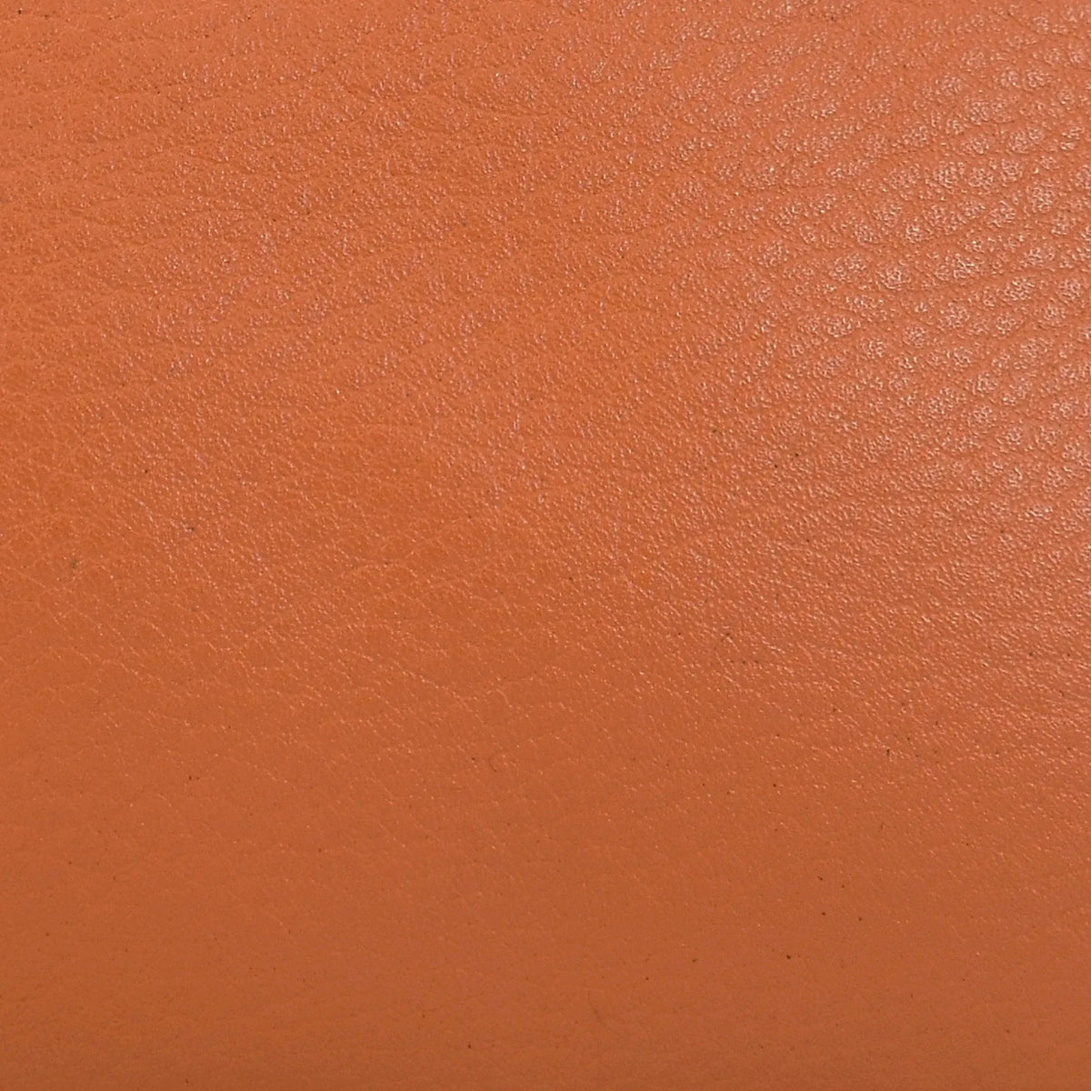 Heritage Leather Cosmetic Case - 1861
